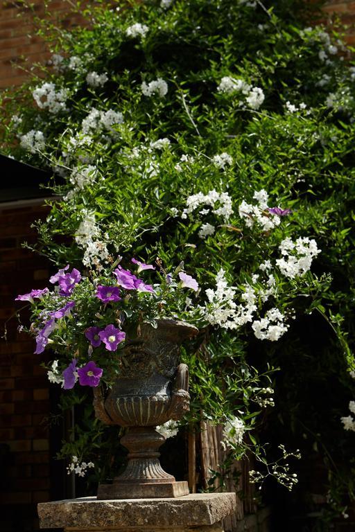 Richmond Lane Guest House - Aa Accredited Romsey Εξωτερικό φωτογραφία